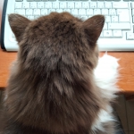 apprentissage