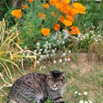 au-jardin