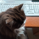 au travail