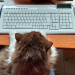au travail