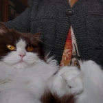 calin