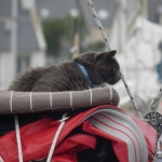 chat marin