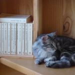 lecture Babel