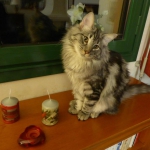 noël