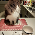 petit-déjeuner 1