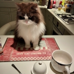 petit-déjeuner