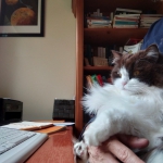 travail bureau